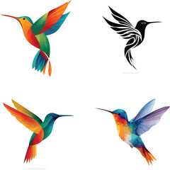 Obraz premium Four Hummingbird Illustrations, Colorful and Black Silhouettevector eps