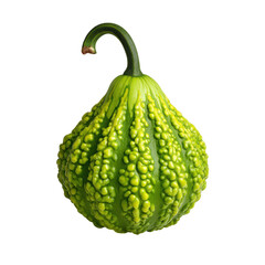 Green warty ornamental gourd textured