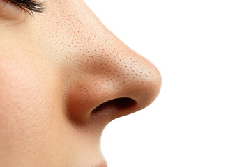nose isolated on white background PNG