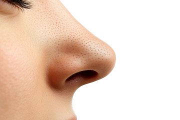 nose isolated on white background PNG