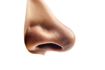 nose isolated on white background PNG