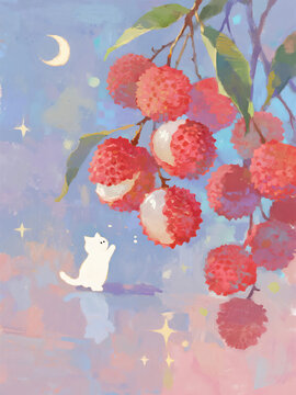 Litchi and Cat