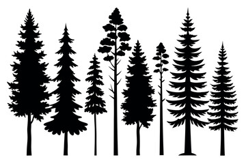 Fototapeta premium Pine Tree Silhouette Collection Isolated on White Background – Vector Set 