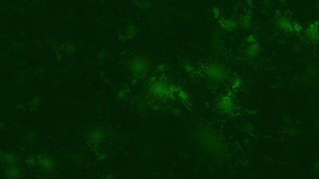 Organische gr&uuml;ne Gewebestrukturen aus Nervenbahnen und K&ouml;rperzellen - Infektion, Immunsystem, Medizin, Wissenschaft, Viren & Bakterien in mikroskopischen Detailaufnahmen f&uuml;r Forschung & Biotechnologie