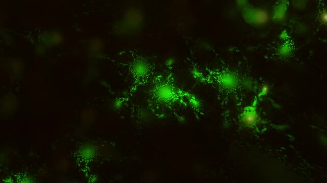 Organische gr&uuml;ne Gewebestrukturen aus Nervenbahnen und K&ouml;rperzellen - Infektion, Immunsystem, Medizin, Wissenschaft, Viren & Bakterien in mikroskopischen Detailaufnahmen f&uuml;r Forschung & Biotechnologie