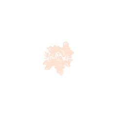 Tinea versicolor illustration 