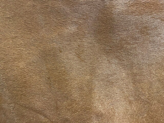 Brown leather natural vintage fashion and interior design