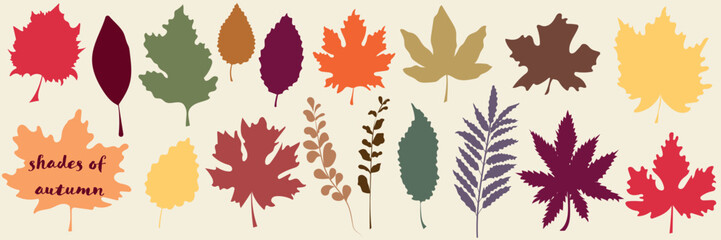 Vintage Autumn Leaf Set featuring Maple, Oak, Chestnut, and Fern in Muted, Minimal, Retro, and Organic warm tones. Vector illustration