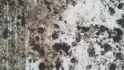 Weathered Concrete Texture, Grunge Background with Cracks and Mold
