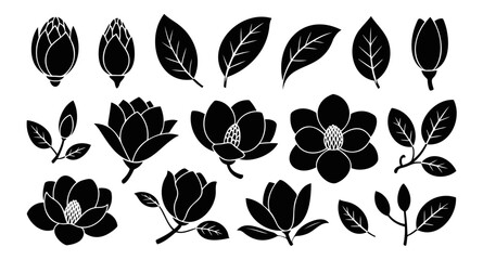 Collection of black and white magnolia flower buds and leaves in various stages of bloom design