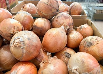 玉ねぎ　売り場
