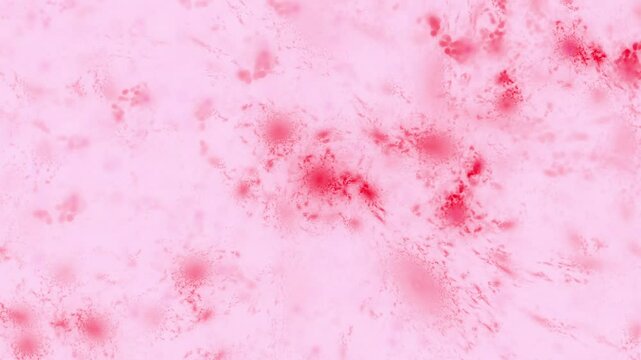 Organische blutrote Gewebestrukturen Nervenbahnen und K&ouml;rperzellen - Infektion, Immunsystem, Medizin, Wissenschaft, Viren & Bakterien in mikroskopischen Detailaufnahmen f&uuml;r Forschung & Biotechnologie