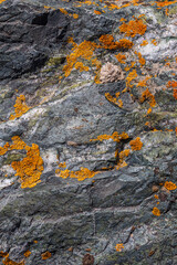 Close-up of grey sedimentary rock face with orange lichen patches