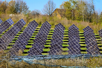 Solarfarm in ländlicher Landschaft