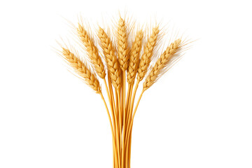 Golden Wheat Stalks Isolated on Transparent Background