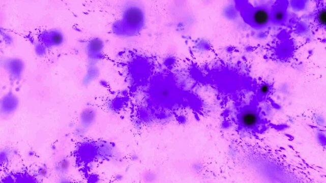 Organische violette Gewebestrukturen Nervenbahnen und K&ouml;rperzellen - Infektion, Immunsystem, Medizin, Wissenschaft, Viren & Bakterien in mikroskopischen Detailaufnahmen f&uuml;r Forschung & Biotechnologie