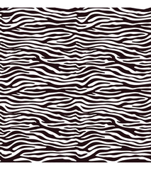 Zebra print hand drawn seamless pattern vector. Animal prints, black and white realistic textures. Zebra skin stripes texture. Vector illustration.