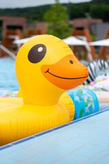 rubber duck swimming in pool