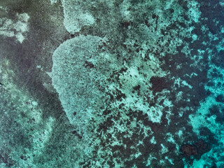 Surreal and hypnotic top view shot of colorful Coral Reefs in Shallow Waters in Pamilacan Island, Panglao, Bohol, Philippines