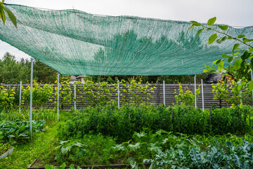 Shading net stretched over the vegetable garden. Protecting vegetable beds from the sun