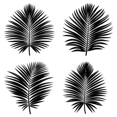 Fototapeta premium Four palm fronds in black and white showing tropical foliage in a simple botanical arrangement design