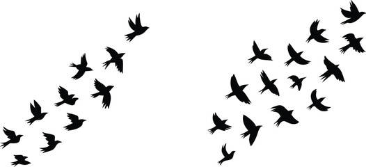 Two Groups of Silhouetted Birds Flying in Formation Against a Plain White Background