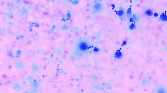 Organische blaue Gewebestrukturen aus Nervenbahnen und K&ouml;rperzellen - Infektion, Immunsystem, Medizin, Wissenschaft, Viren & Bakterien in mikroskopischen Detailaufnahmen f&uuml;r Forschung & Biotechnologie