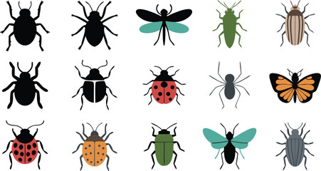 of Various Insects, Including Beetles, Ladybugs, Butterfly, Spider, and More on White Background