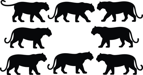 Seven Black Panther Silhouette Figures Walking Across a White Background, Animal Wildlife Theme