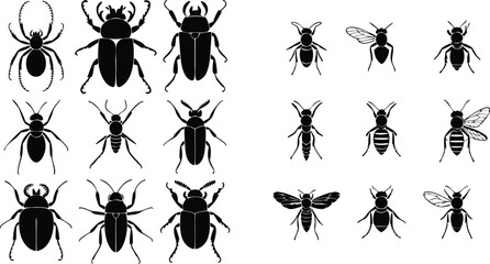 Silhouettes of Various Insects Beetles, Bees, Ants, and a Spider Isolated on White Background
