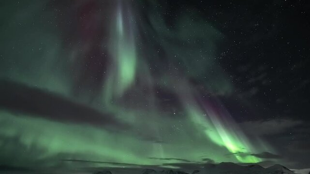 Auroras above a Norwegian fjord and snowy mountains, tilt down