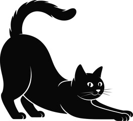 Black cat stretching its body feline domestic animal