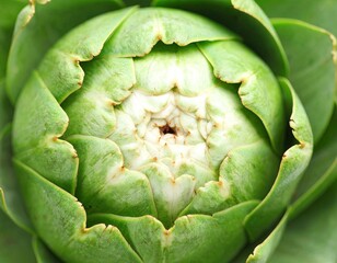 Close-up of an artichoke