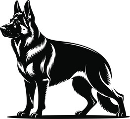 German Shepherd standing alert canine black and white