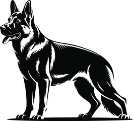 Black german shepherd standing alert black and white
