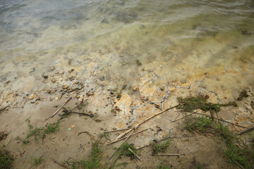 Through the clean and transparent water, you can clearly see the clay-sand bottom of the lake.