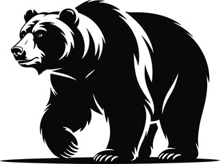 Grizzly bear walking black and white animal wildlife