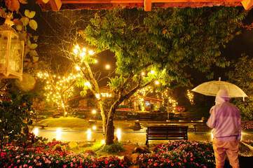 Romantic night scene with pine tree lights and cityscape in da lat, vietnam.