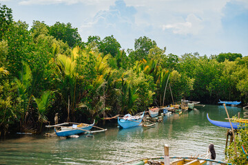 Golden Hour with Anchored Bangka boats between palm trees in blue and green water river in Cebu,...
