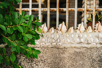Beautiful Seashells between rusty bars decorate and protect a home in the beach