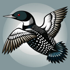 Fototapeta premium Common Loon Vector Illustration