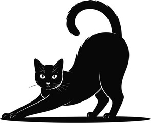 Black cat stretching with arched back feline domestic animal