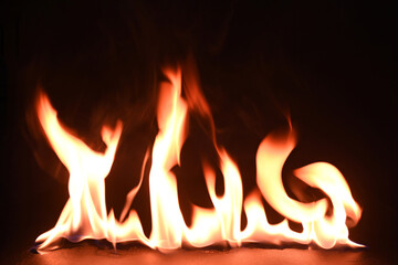 Fire flames on a black background
