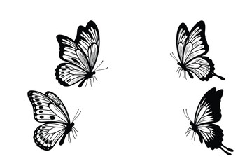 Butterfly Silhouette Set – Elegant Wing Patterns in Black on White