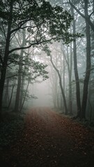 Obraz premium Misty forest trail in Japan on soft watercolor silhouette art