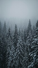 Pine trees in snowfall in vertical fine line landscape