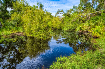 Clay Gully stream in the Clay Gully area of Myakka River State Park in Sarasota Floirida USA
