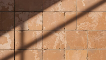 Terracotta tiles with warm, earthy tones, partially bathed in sunlight and strong shadows from the left, creating a dynamic background.