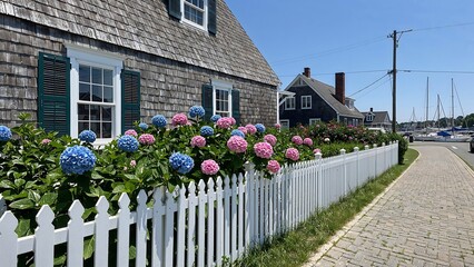 Nantucket cottage, cedar shake siding, white picket fence, hydrangeas in bloom (blue and pink), cobblestone path, sailboats in harbor, bright midday sun.