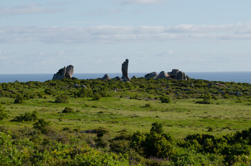 Western Cape coastal fynbos landscape with granite boulders